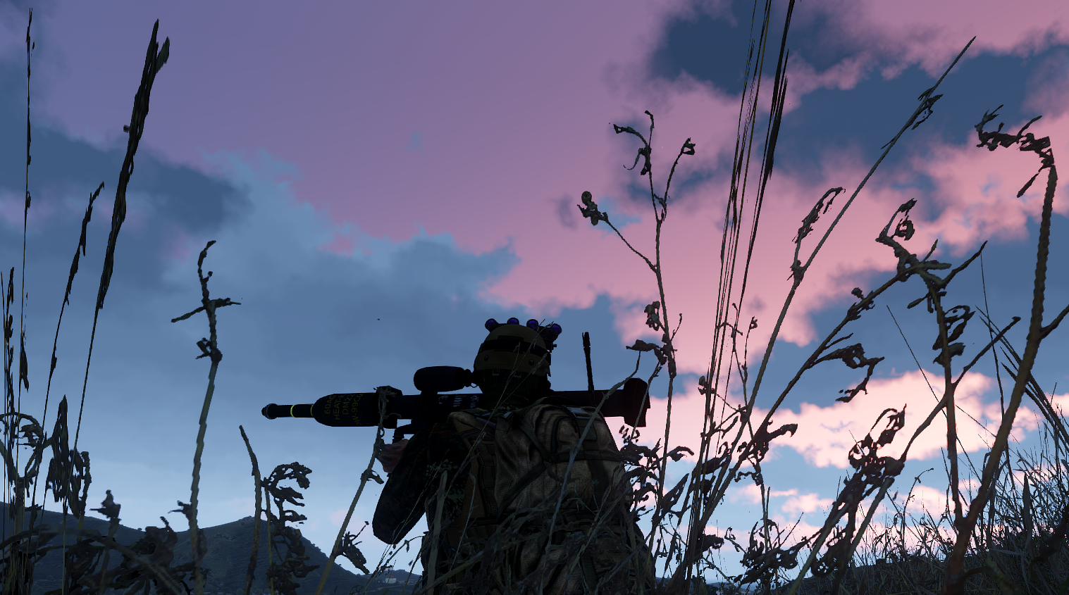 Silhouette of a GFLA fighter beneath a pink evening sky